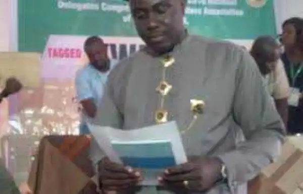 No blueprint for sports development in Nigeria – SWAN President, Sirawoo